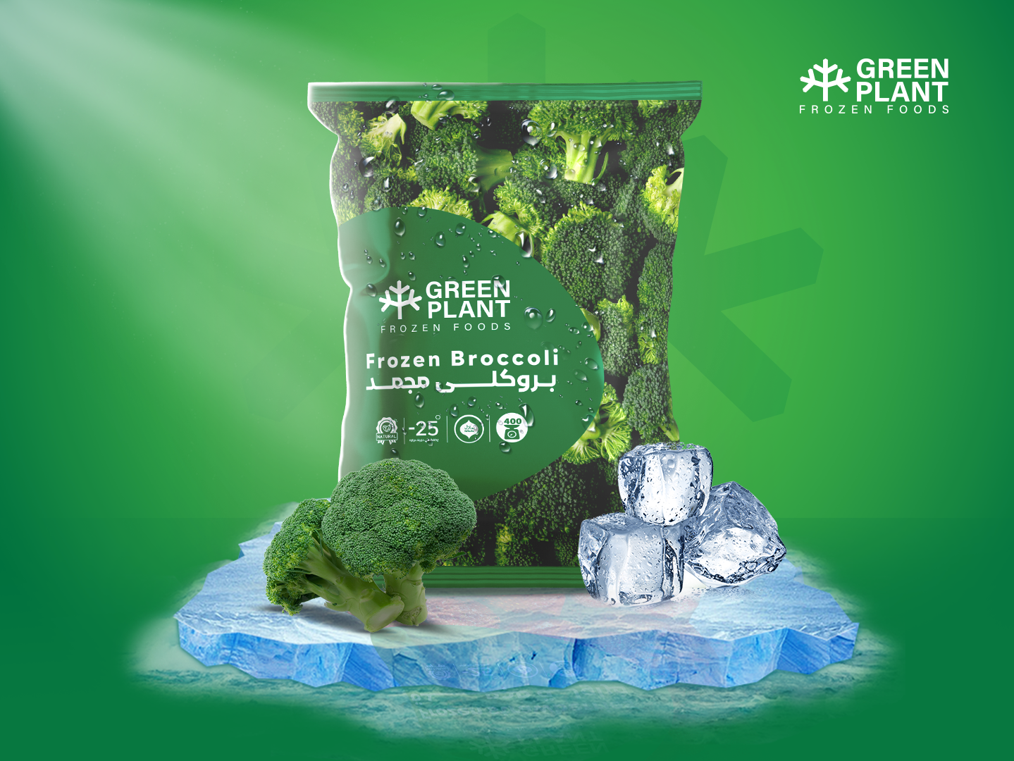 Frozen Broccoli